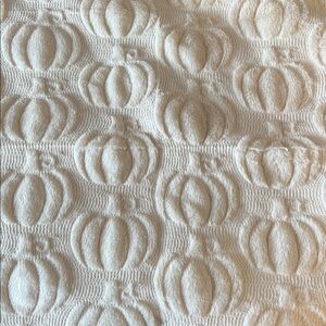 Elegant Pumpkin Cream Accent Pillow Case x2 NWT